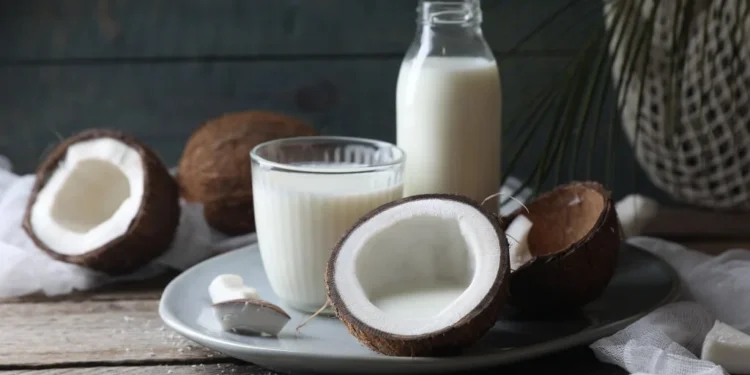 Creme de coco caseiro adicionando um toque tropical ao seu café da manhã.