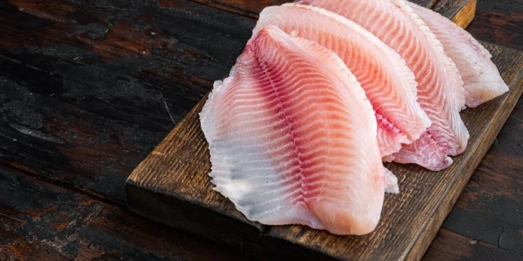 Tilápia empanada com parmesão, uma receita rápida e cheia de sabor.